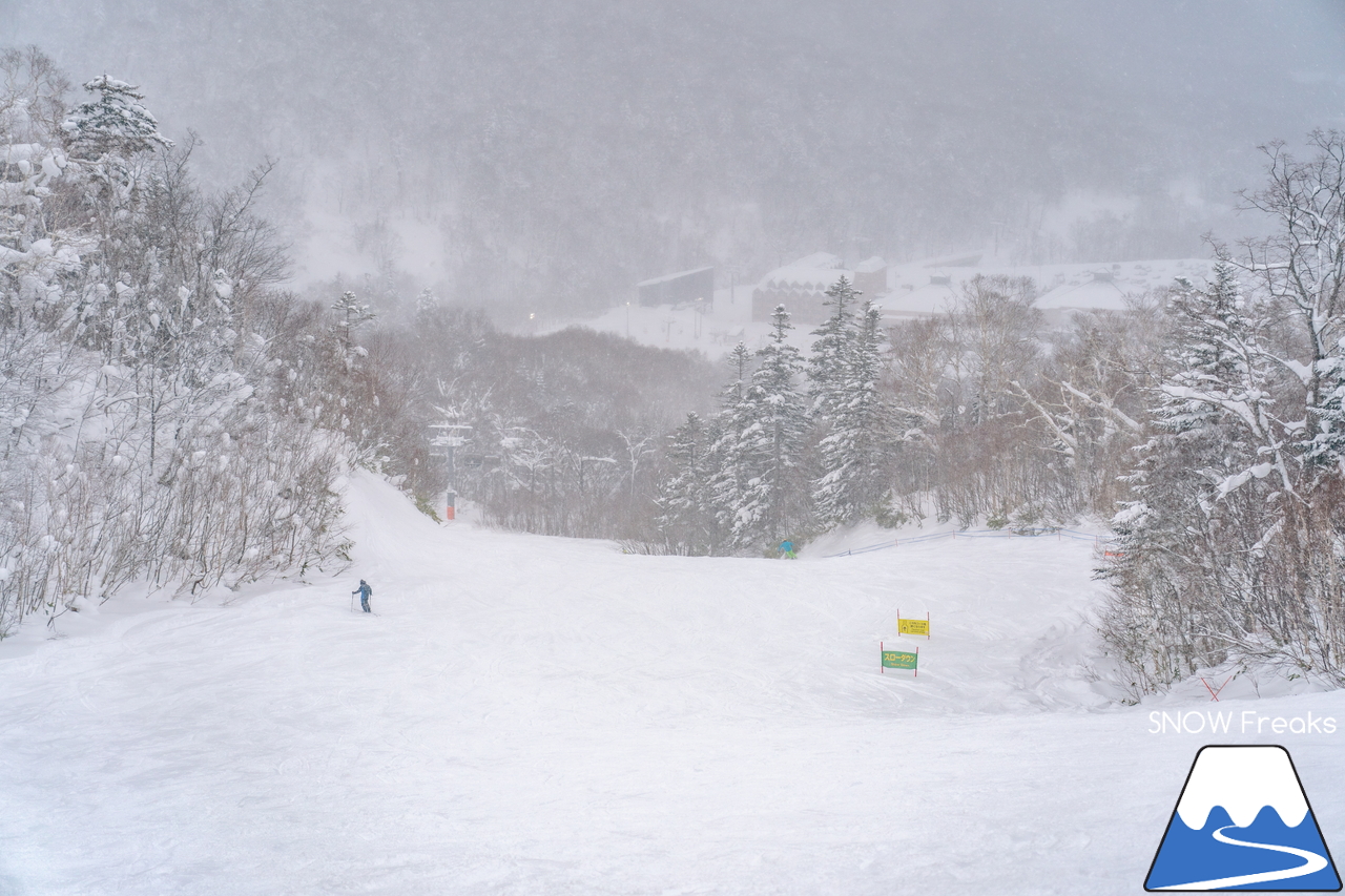 キロロリゾート｜ただいま北海道内最深の積雪160cm。午後のゲレンデで快適粉雪クルージング！